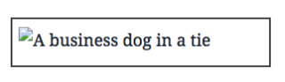 Alt text displaying "A business dog in a tie"