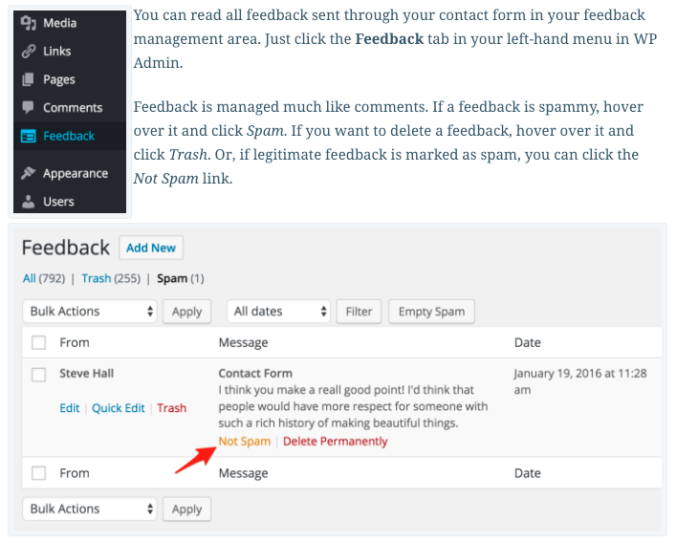 WordPress.com Request Feedback Example