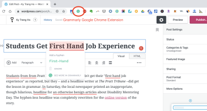 screenshot of Grammarly highlighting grammar and spelling mistakes in WordPress.com post